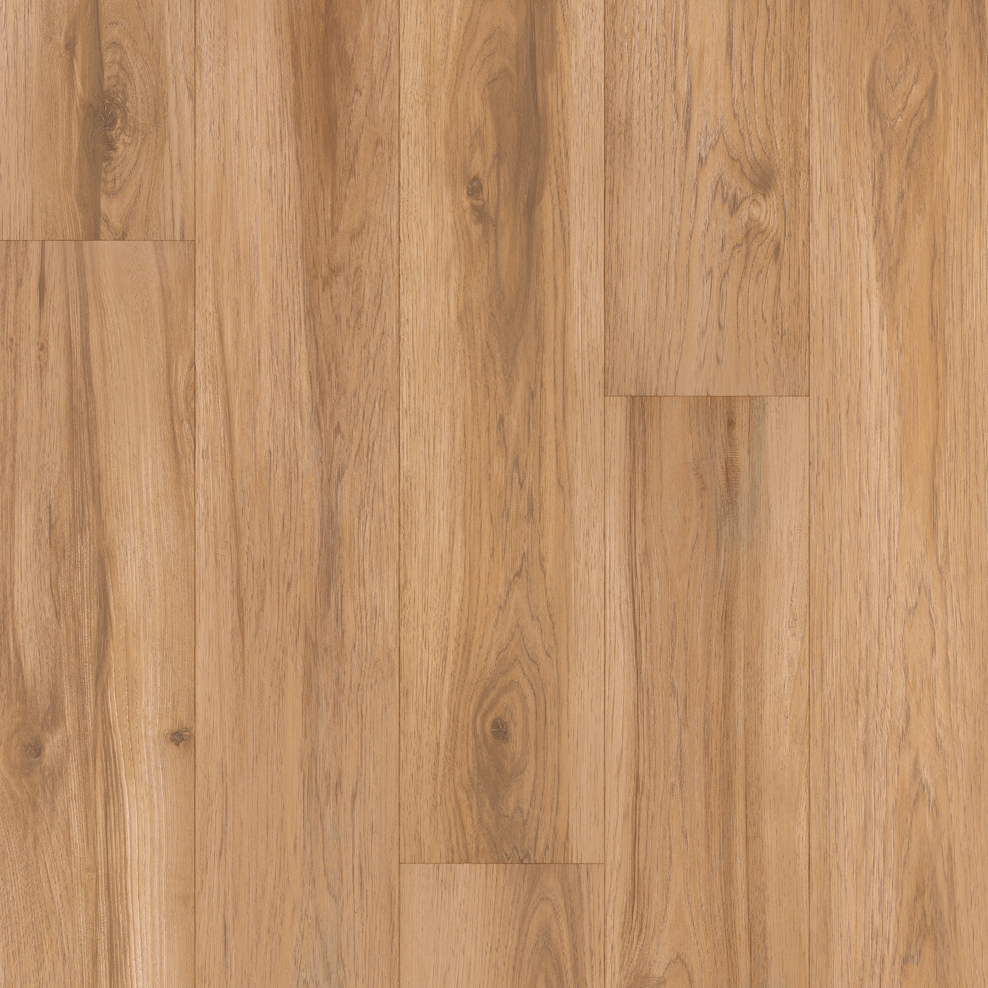 floor-img